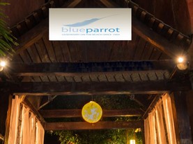 Blue Parrot 5th Avenue, Playa del Carmen