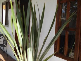 Villa del Arco, Valle De Bravo