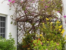 Casa Maja, Playa del Carmen