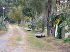 FINCA LO DE GUARIN, Vaqueros