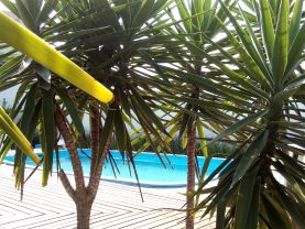 Dpto Beira Mar em Florianopolis, ingleses, Brasil, Florianópolis