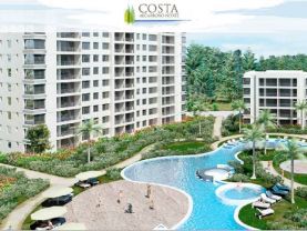 Algarrobo Chile, Algarrobo