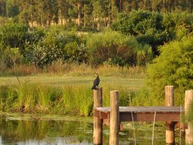 Chacra en el Valle de Lapataia, Punta Ballena