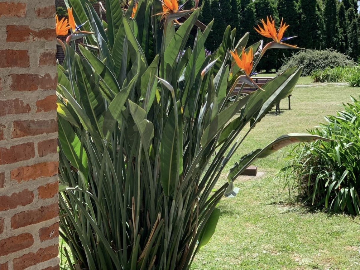 Cabañas El valle de Baztan, Tandil