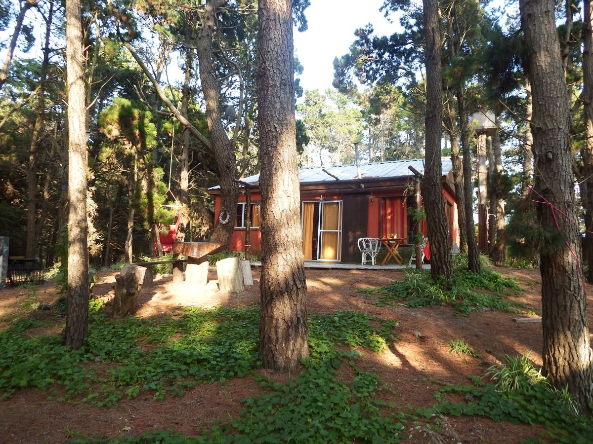 La Casita en el bosque, Villa Gesell