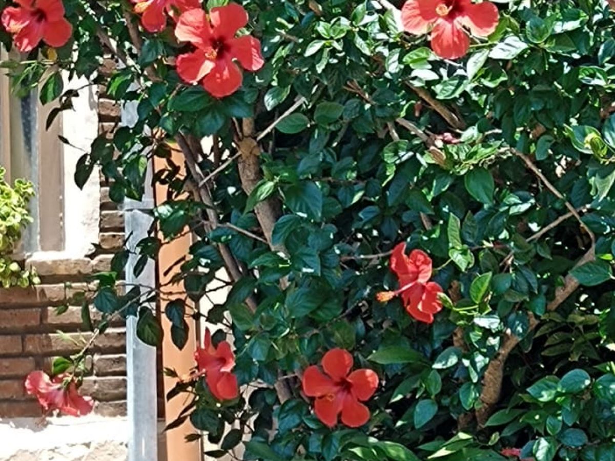 Paseo del parque, Tandil