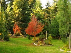 Ribera del Bonito, Villa La Angostura