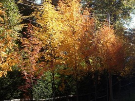  Los Radales, Villa La Angostura