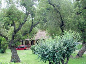 La Esperanza , Los Cocos