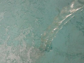 Posada del Arbol , Capilla del Monte