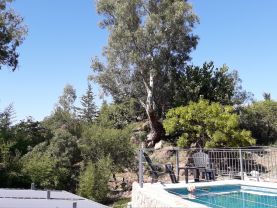 Canto Verde , Villa Carlos Paz