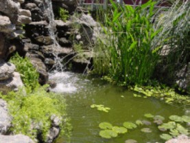 Vesubio , Villa Carlos Paz