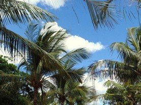 Pousada do Serrote, Jericoacoara