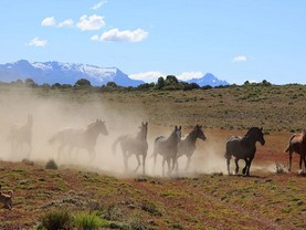 La Constancia, Dina Huapi