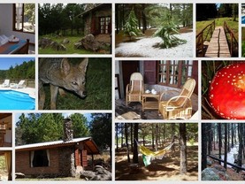 Tierra de Zorros - Cabañas de Montaña, Villa Yacanto