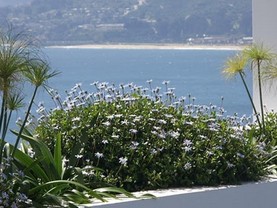 Departamento Recreo Park, Viña del Mar