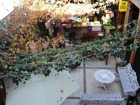 Princesa Insolente Hostel, Santiago