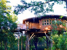 Tree Lodge Nidos de Pucon, Pucón