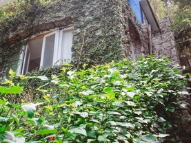 Suite Santa Teresa, Rio de Janeiro