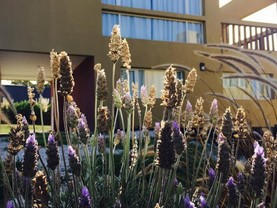 Holiday homes Alta Loma, Chapadmalal