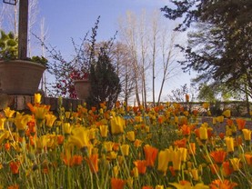 Lujan De Cuyo B&B, Luján De Cuyo