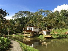 Charco corazón, Jardín