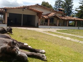 Al Bosque Hostel & Glamping, Santa Elena