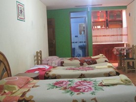 Honey House, Arequipa