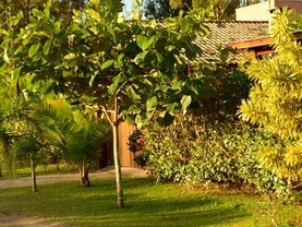 Casas do Nando, Garopaba