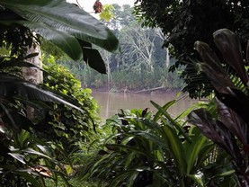 Fundo Refugio K'erenda Homet, Puerto Maldonado