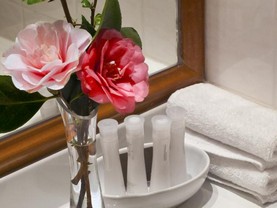 Hotel Naguilan, Valdivia