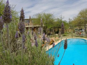 Cabañas de Montaña Rio Amarillo, Chilecito