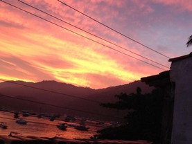 Flor Da Ilha, Ilha Grande - Angra dos Reis