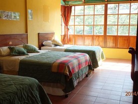 Bio Hostal Mindo Cloud Forest, Mindo