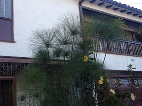 Casa de Huespedes Shalom Victoria, Bogotá