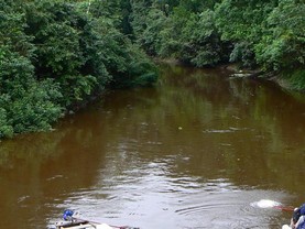 Tambo Yanayacu Lodge, Iquitos