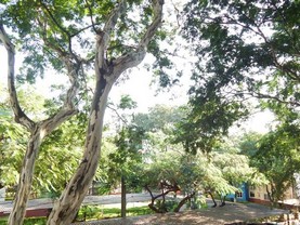 Apartamento Cataratas 1, Foz do Iguaçu