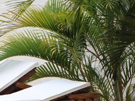 Chez Loran VIP, Jericoacoara
