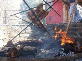 Finca La Andorrana, San Carlos