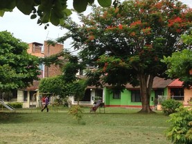 Kasa Kuri, Tarapoto