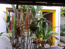 B&B Mezanhino, Paraty