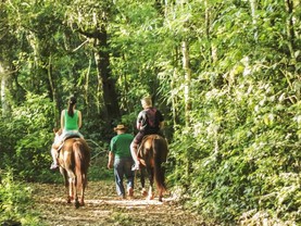 Canzi Cataratas Hotel, Foz do Iguaçu
