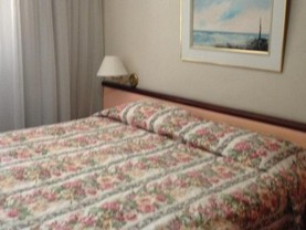 Plaza Elysees Apart Hotel 603, Rio de Janeiro