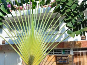 Casa Hotel Jardin Azul, Cali