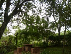 La Flo, Villa Florida