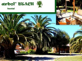 Hostal El Arbol Beach, La Serena