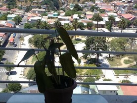 Apartment Altos Placeres, ValparaÃso