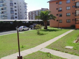 Roypace La Serena, La Serena