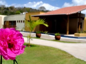 Bosque da Praia Pipa Flats, Pipa