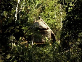 Shimiyacu Amazon Lodge, Tarapoto